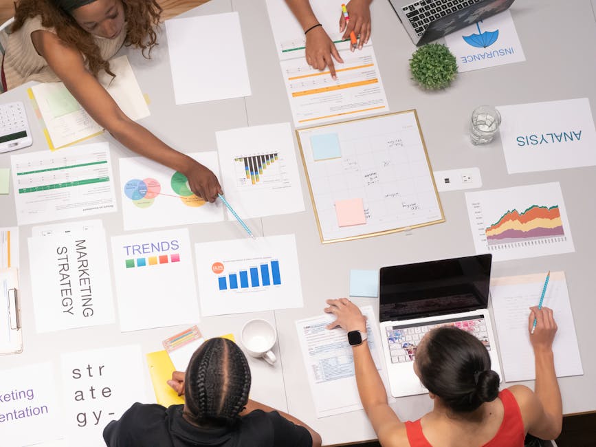 seo strategies for start-ups